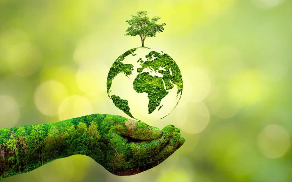 Hands holding a globe made of green foliage